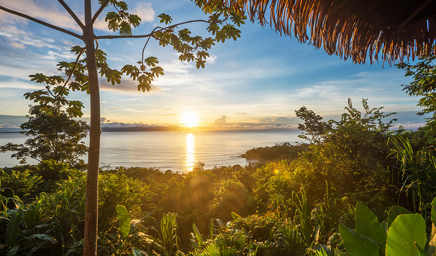 Costa Rica Travel Guide