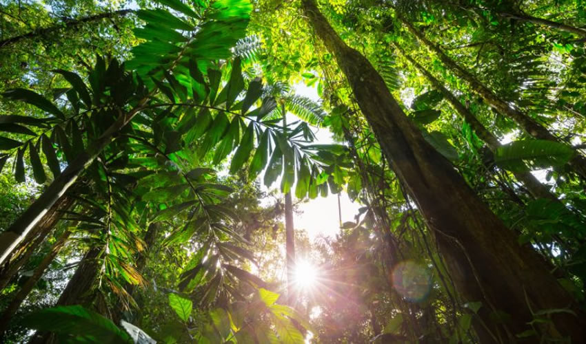 Costa Rica